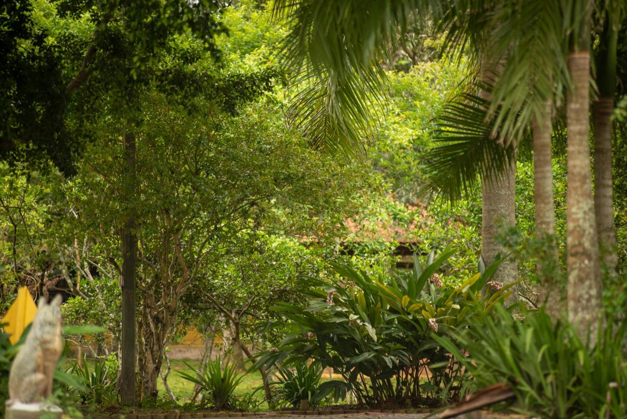 Pousada Chacara Rio Jordao Florianópolis Exterior foto